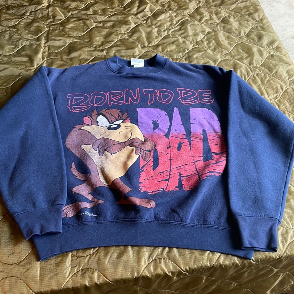Looney Tunes Taz crew sweatshirt